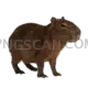 Capybara cutout 2500x2500 cutout from Capybara