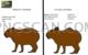 Capybara 960x600 cutout from Capybara