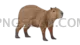 Capybara 1920x1080 cutout from Capybara