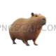 Capybara 980x980 cutout from Capybara