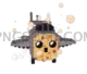 Roblox Steal a Brainrot 634x546 cutout from Steal a Brainrot
