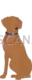 Vizsla Dog #288 cutout from Vizsla Dog