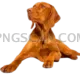 Vizsla Dog #331 cutout from Vizsla Dog