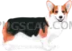 Welsh Corgi #385 cutout from Welsh Corgi