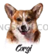 Welsh Corgi #391 cutout from Welsh Corgi