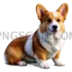 Welsh Corgi #394 cutout from Welsh Corgi