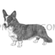 Welsh Corgi #404 cutout from Welsh Corgi