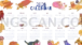 Calendar 2026 2640x1485 cutout from Calendar 2026