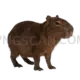 Capybara cutout 2500x2500 cutout from Capybara