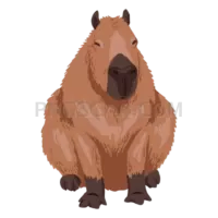 Capybara natural cutout from Capybara