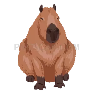 Capybara natural cutout from Capybara