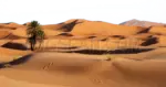 Desert Sand Dunes cutout from U Din Din Din Din Dun Ma