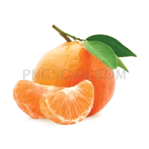 Mandarin 500x500 cutout from Mandarin