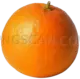 Mandarin #552 cutout from Mandarin