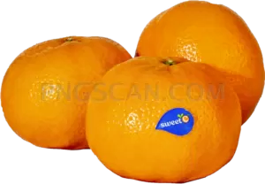 Mandarin 2560x1778 cutout from Mandarin