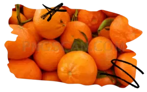 Mandarin 1254x782 cutout from Mandarin