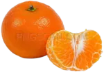 Mandarin 1400x980 cutout from Mandarin