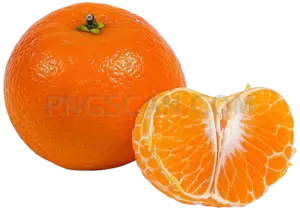 Mandarin 1400x980 cutout from Mandarin