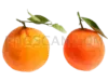 Mandarin 577x433 cutout from Mandarin