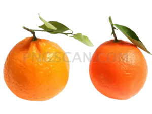Mandarin 577x433 cutout from Mandarin