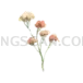 Plant Aesthetic Theme Nature Vibes cutout from Aesthetic Theme Flower