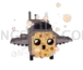 Roblox Steal a Brainrot 634x546 cutout from Steal a Brainrot