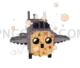 Roblox Steal a Brainrot 634x546 cutout from Steal a Brainrot