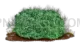 Shrub Nature cutout from Land Rover