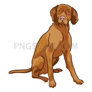 Vizsla Dog #279 cutout from Vizsla Dog