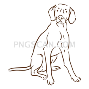 Vizsla Dog #290 cutout from Vizsla Dog
