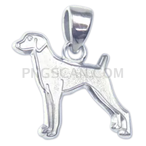 Vizsla Dog #297 cutout from Vizsla Dog