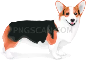 Welsh Corgi #385 cutout from Welsh Corgi