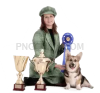 Welsh Corgi #388 cutout from Welsh Corgi