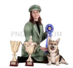 Welsh Corgi #388 cutout from Welsh Corgi