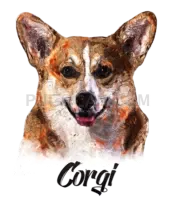 Welsh Corgi #391 cutout from Welsh Corgi