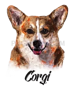 Welsh Corgi #391 cutout from Welsh Corgi